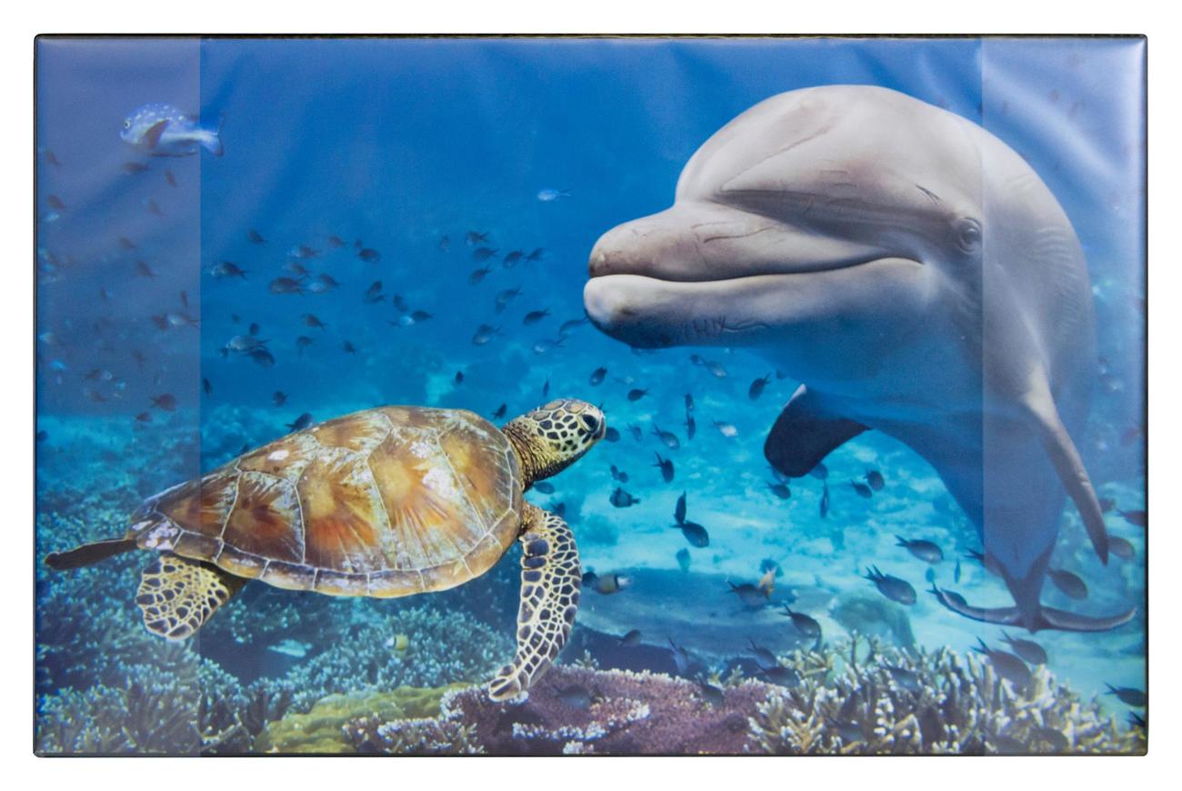 Idena Mapa de birou, Motiv: Delfin