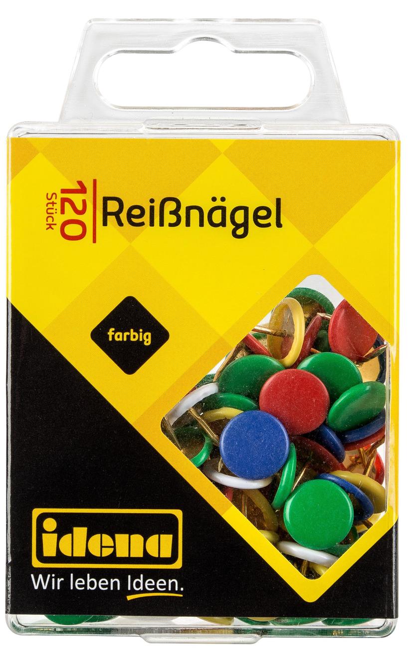 Idena Pioneze color